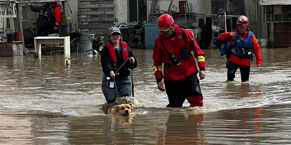 SPCA Pajaro Flood Response