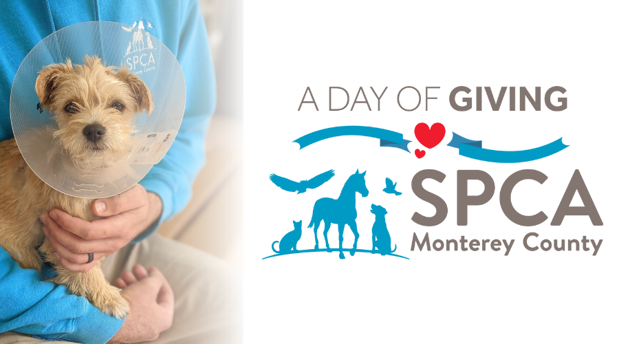 Sponsor A Day of Giving on March 7th, 2024