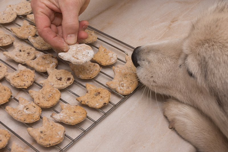 Baking Pet Treats