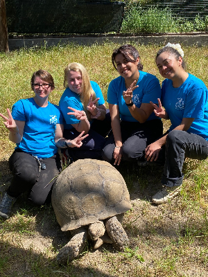 Some Wildlife staff with a pet Sulcata
