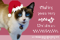 Holiday 2020 Tribute - Christmas (Cat)