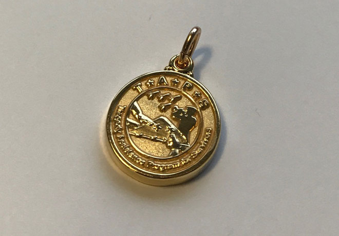 20k Gold Plated Taps Charm