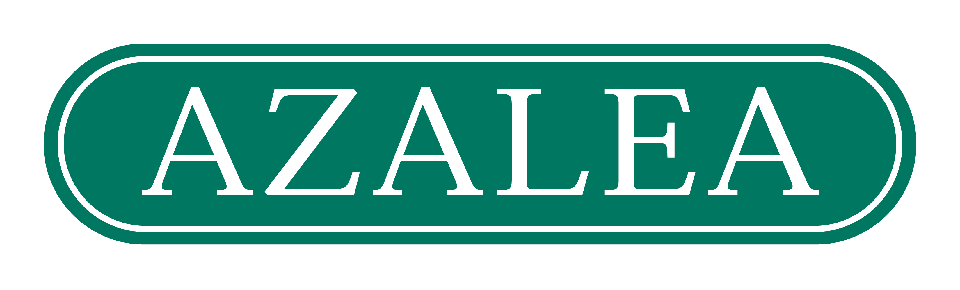 Azalea 