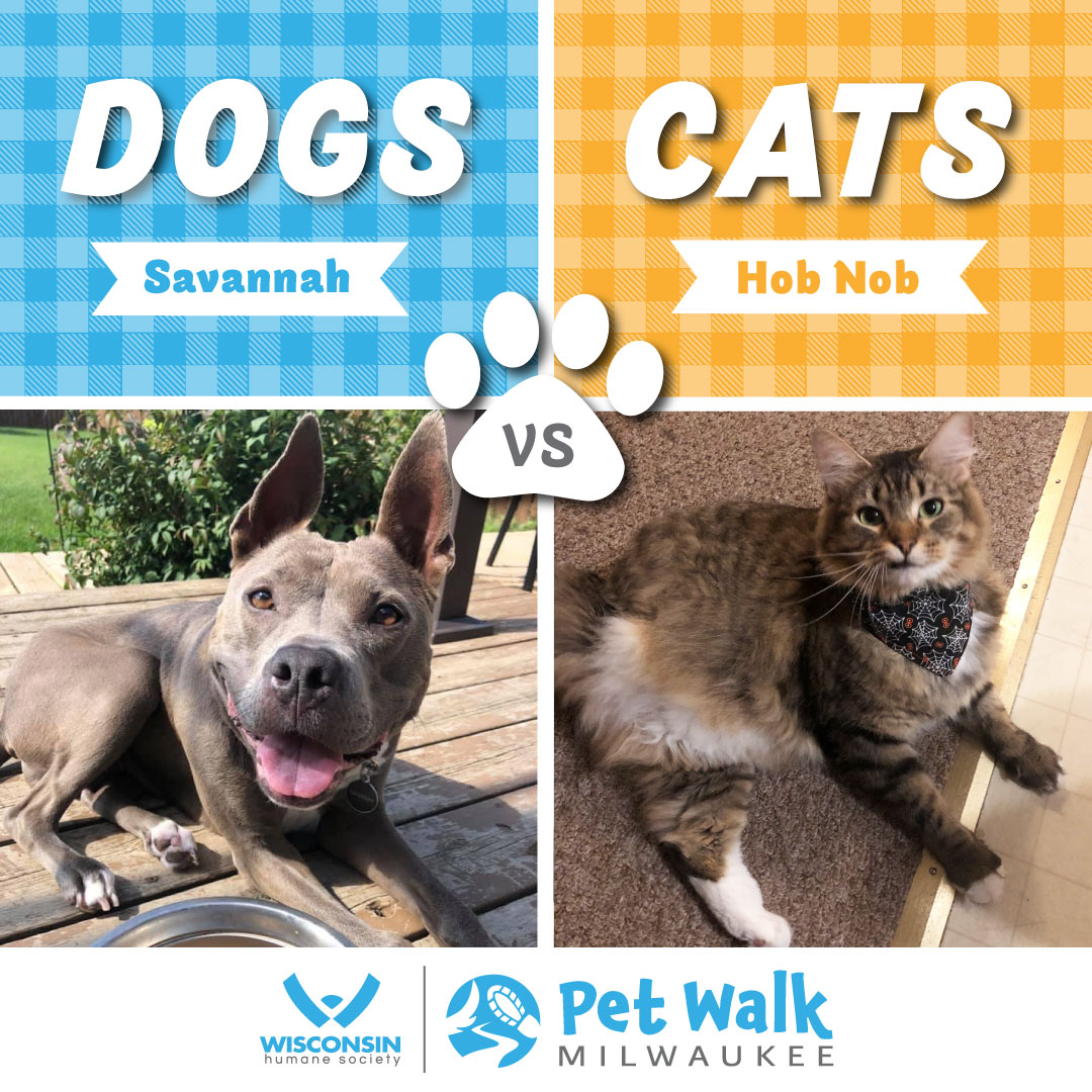 2021-Pet-Walk-MKE_Dog-vs-Cat-challenge_FB.jpg