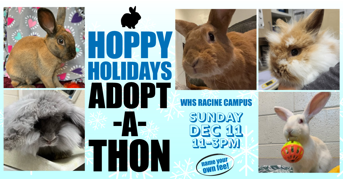 Hoppy Holidays Adopt-a-thon