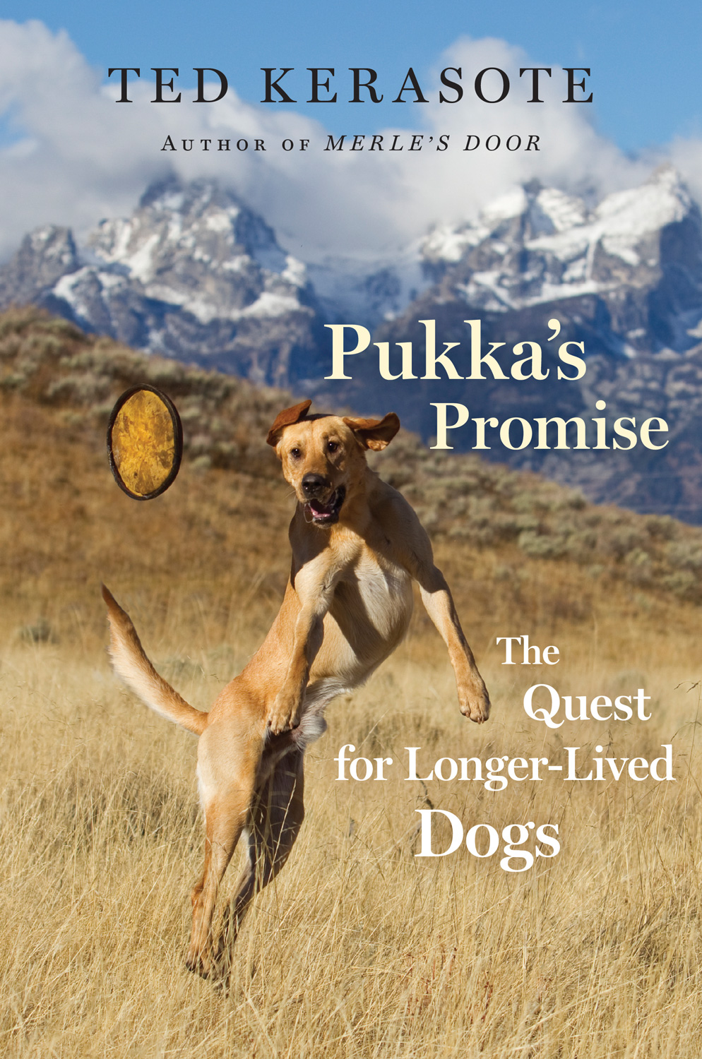 Pukka's Promise.jpg