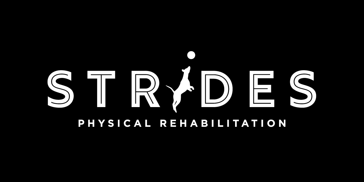 Strides_Physical_Rehabilitation_RGB.jpg