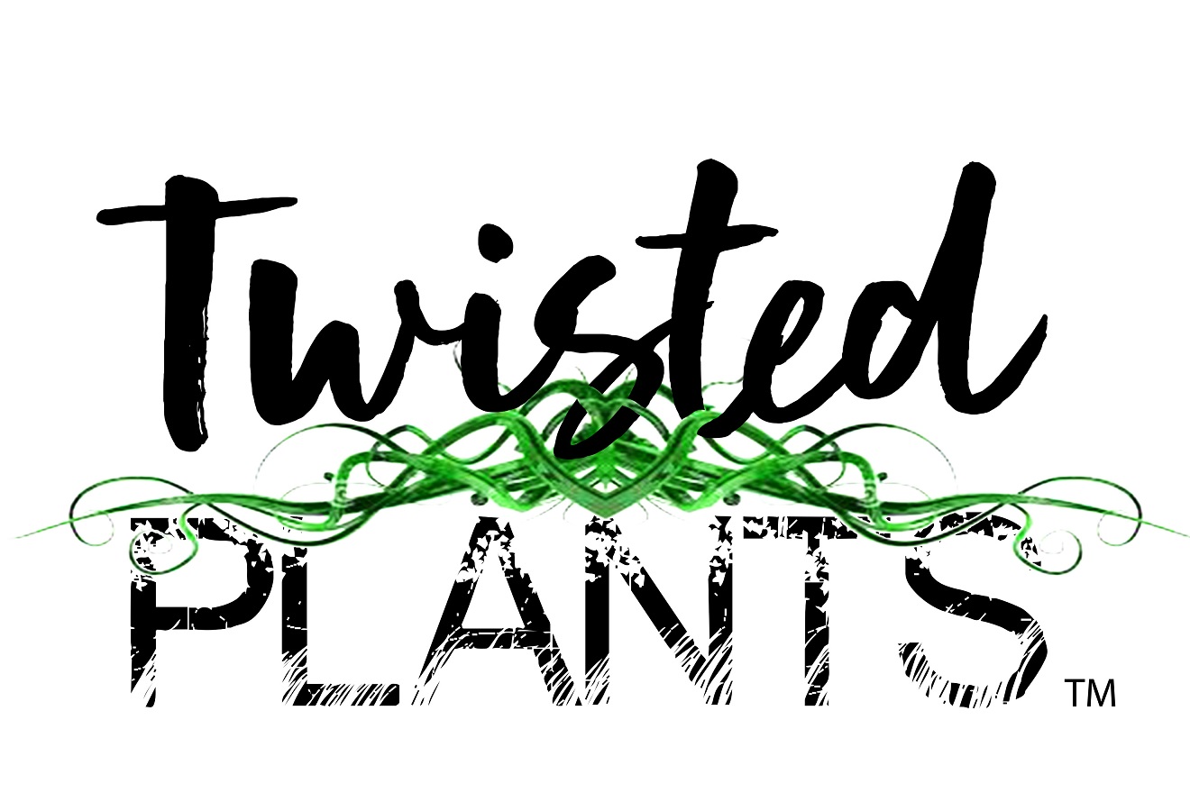 Twisted Plants-small.jpg
