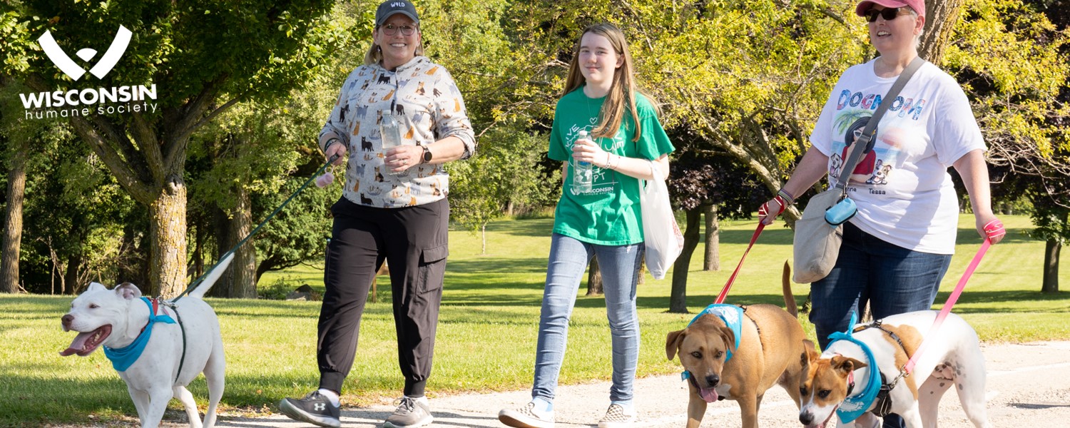 Pet Walk Ozaukee The Wisconsin Humane Society