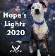 2020 Hope's Lights