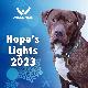 2023 Hope's Lights