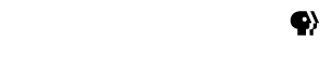 THIRTEEN - NEW YORK PUBLIC MEDIA