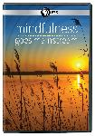 Click here for more information about DVD: Mindfulness Goes Mainstream