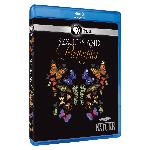 Click here for more information about Blu-Ray Disc: Nature: Sex, Lies & Butterflies