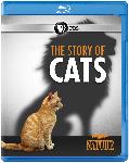Click here for more information about Blu-Ray Disc: Nature: The Story of Cats