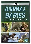 Click here for more information about DVD: Animal Babies: First Year on Earth