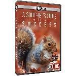 Click here for more information about DVD: Nature: A Squirrel's Guide to Success