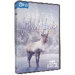 Click here for more information about DVD: Santa's Wild Home