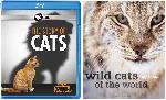 COMBO: Blu-Ray Disc: Nature: The Story of Cats+ BOOK: Wild Cats of the World