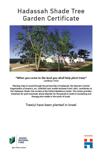 Plant Trees in Israel - Hadassah